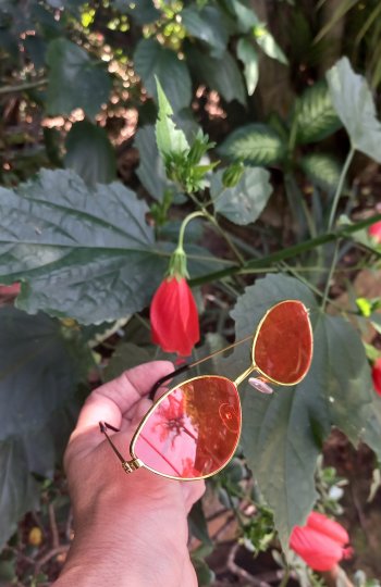 Óculos laranja dourado